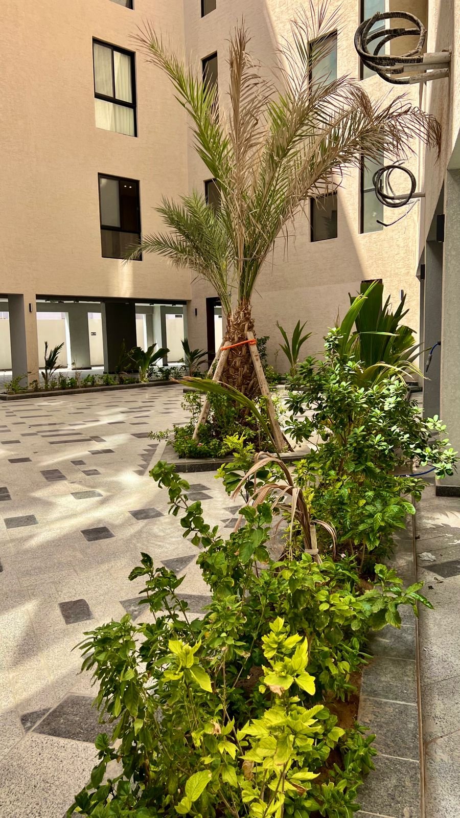 WhatsApp Image 2026-02-05 at 5.57.28 PM